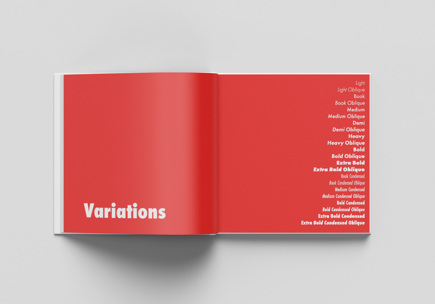 Spread of Futura book showing all variations of the typeface, bold, italic, ect. Done by Stephanie Reid Designs