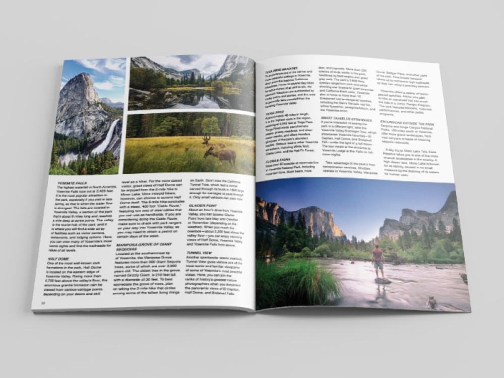 A continuation of the yosemite article highlighting sights to see with pictures of wildlife, tunnel view, and waterfalls. done by Stephanie Reid Designs